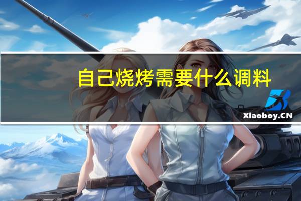 自己烧烤需要什么调料