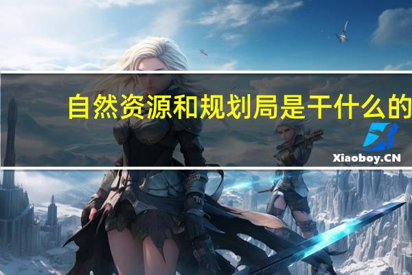自然资源和规划局是干什么的