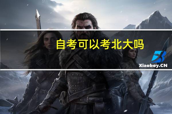 自考可以考北大吗