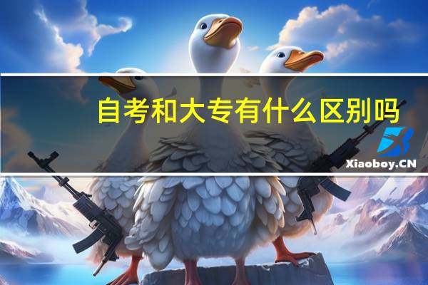 自考和大专有什么区别吗