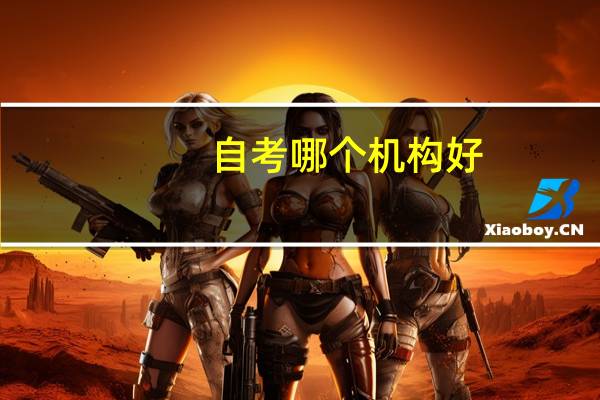 自考哪个机构好