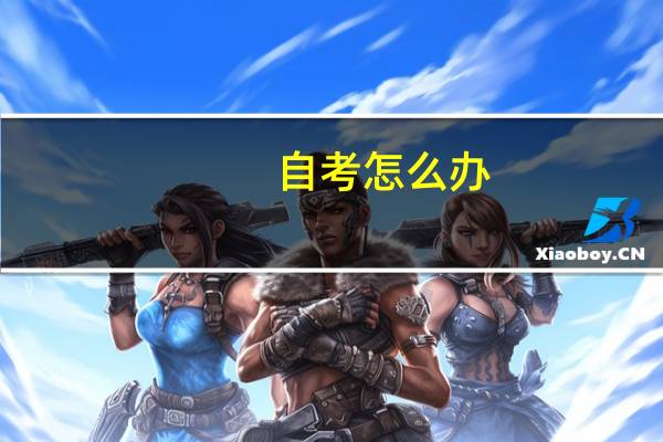 自考怎么办