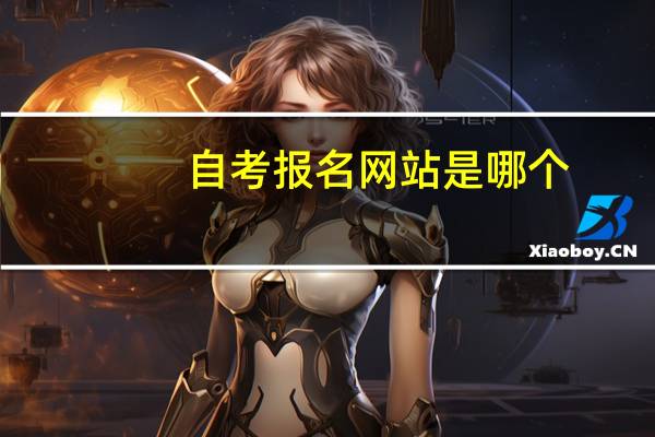 自考报名网站是哪个