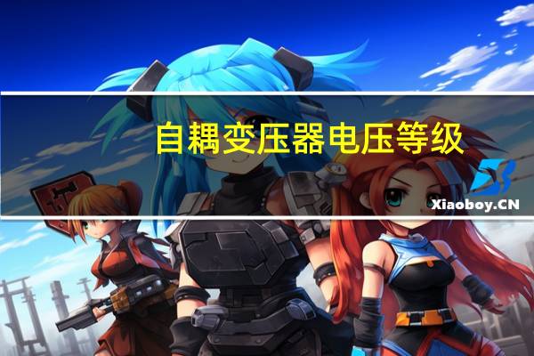 自耦变压器电压等级