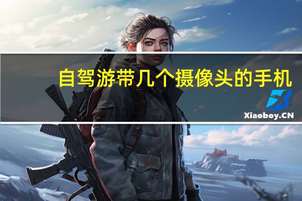 自驾游带几个摄像头的手机