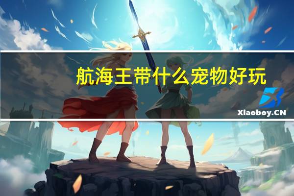 航海王带什么宠物好玩