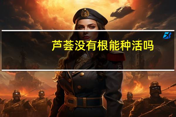 芦荟没有根能种活吗
