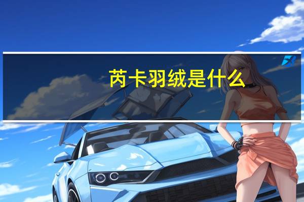 芮卡羽绒是什么