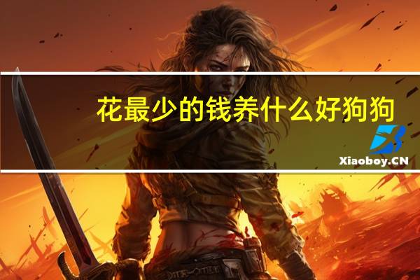 花最少的钱养什么好狗狗