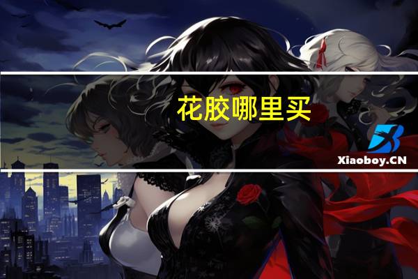 花胶哪里买