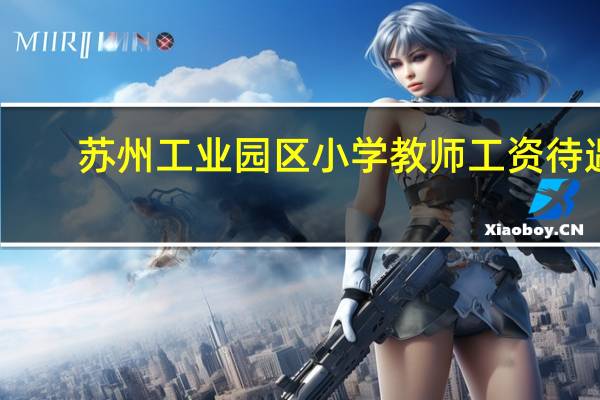 苏州工业园区小学教师工资待遇