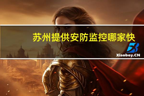 苏州提供安防监控哪家快