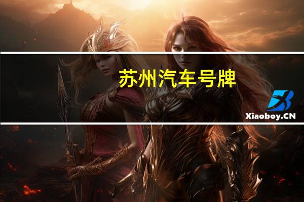 苏州汽车号牌
