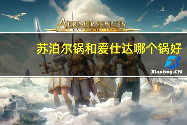 苏泊尔锅和爱仕达哪个锅好