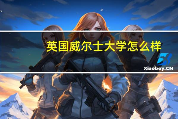 英国威尔士大学怎么样
