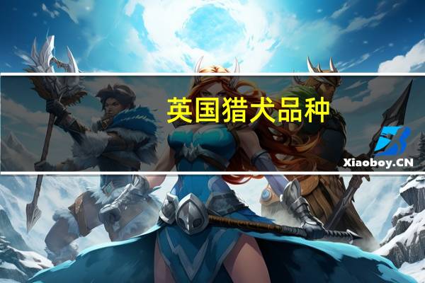 英国猎犬品种