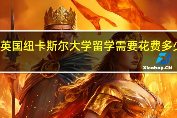 英国纽卡斯尔大学留学需要花费多少费用