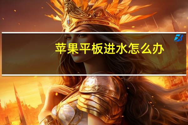 苹果平板进水怎么办