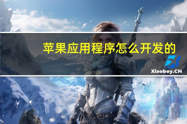 苹果应用程序怎么开发的