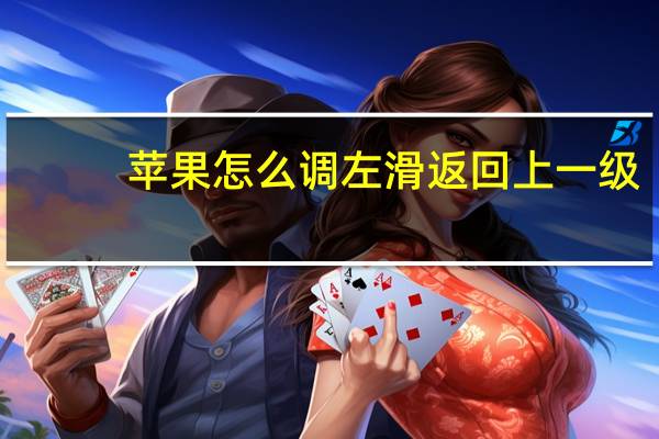 苹果怎么调左滑返回上一级
