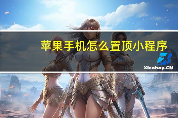 苹果手机怎么置顶小程序