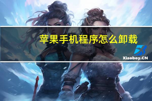 苹果手机程序怎么卸载