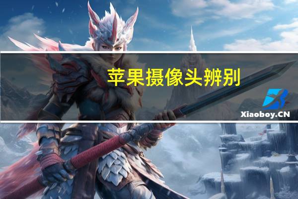 苹果摄像头辨别