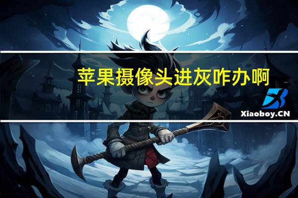 苹果摄像头进灰咋办啊
