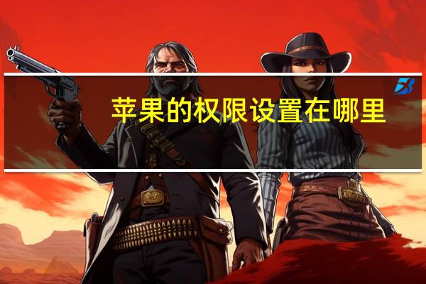 苹果的权限设置在哪里