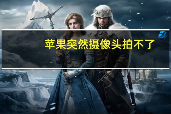 苹果突然摄像头拍不了