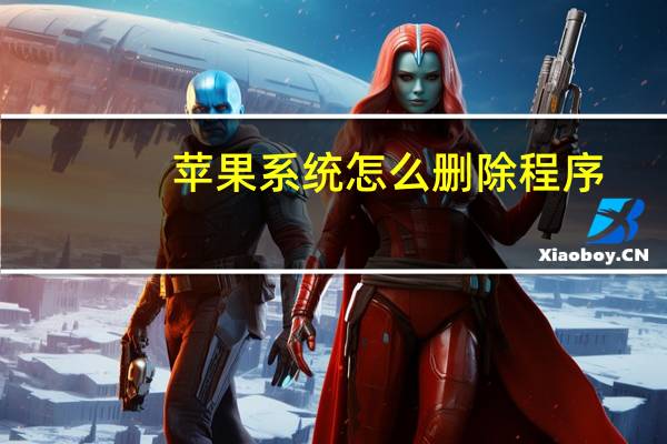 苹果系统怎么删除程序