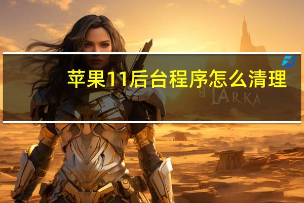 苹果11后台程序怎么清理