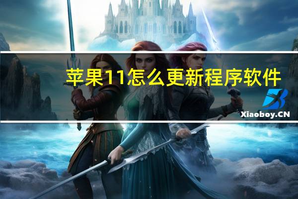 苹果11怎么更新程序软件