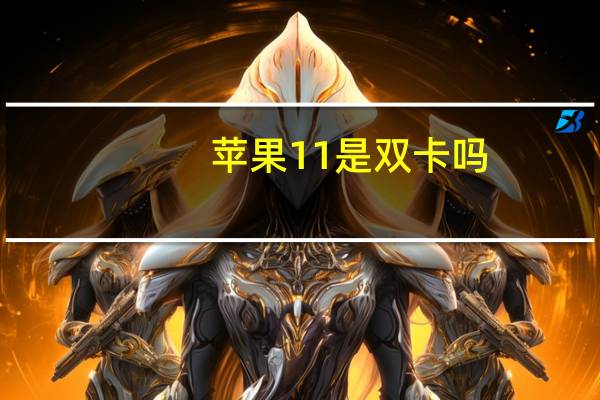 苹果11是双卡吗
