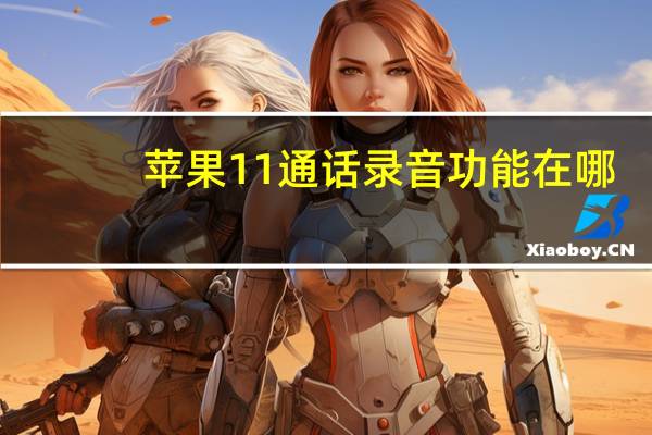 苹果11通话录音功能在哪