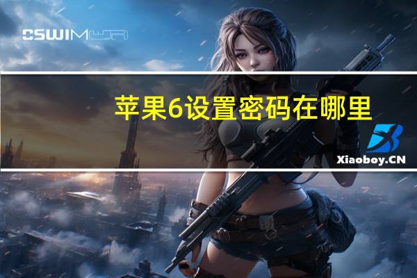 苹果6设置密码在哪里