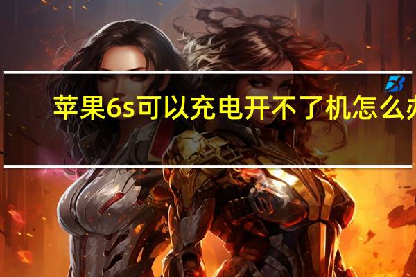 苹果6s可以充电开不了机怎么办