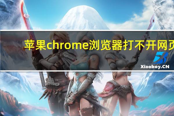苹果chrome浏览器打不开网页
