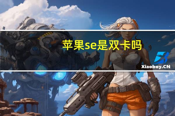 苹果se是双卡吗