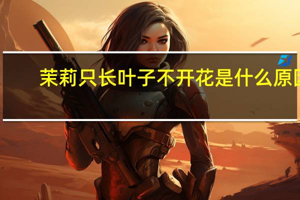 茉莉只长叶子不开花是什么原因