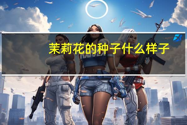 茉莉花的种子什么样子