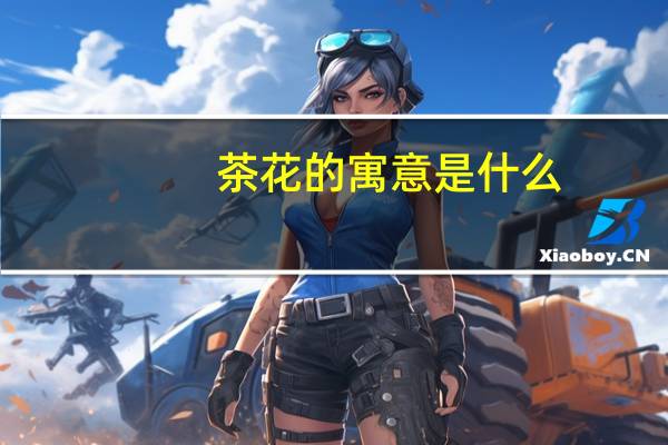 茶花的寓意是什么