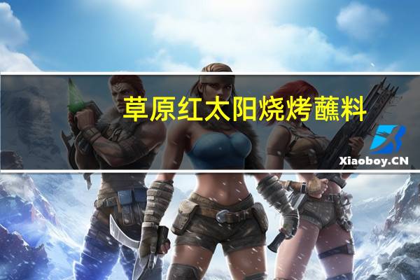 草原红太阳烧烤蘸料