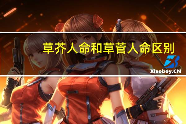 草芥人命和草菅人命区别