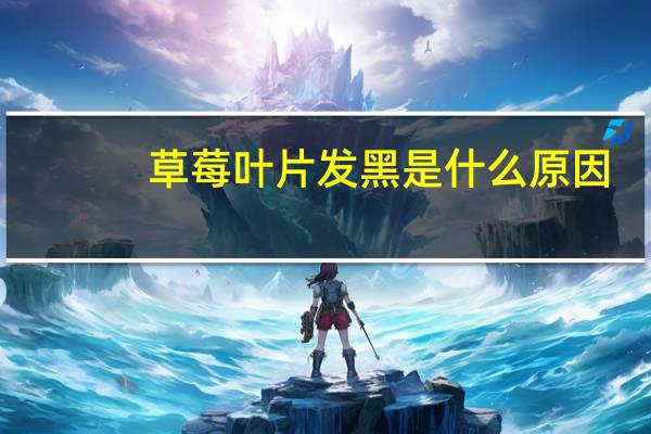 草莓叶片发黑是什么原因