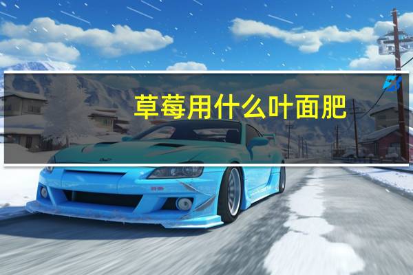 草莓用什么叶面肥