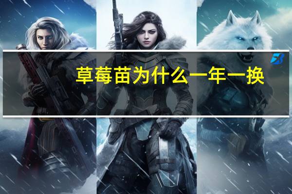 草莓苗为什么一年一换