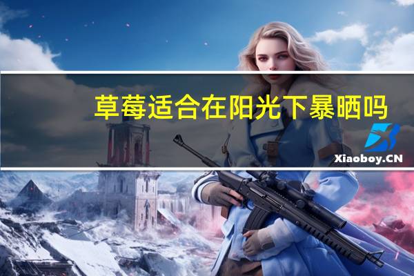 草莓适合在阳光下暴晒吗