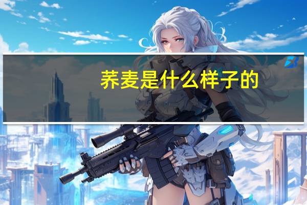 荞麦是什么样子的