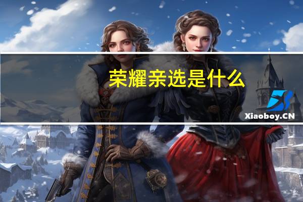 荣耀亲选是什么